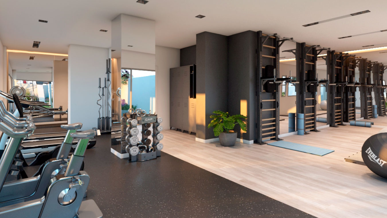 gym donato alvarez 221